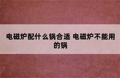 电磁炉配什么锅合适 电磁炉不能用的锅